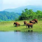 National sanctuaries park india wildlife sanctuary parks indian periyar visit kerala uttarakhand corbett
