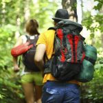 Eco-friendly wildlife holidays