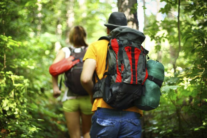 Eco-friendly wildlife holidays